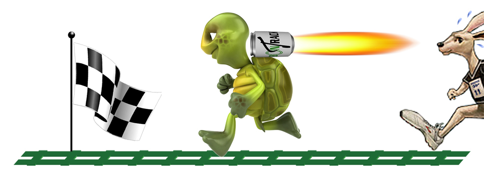 BonTrack Solutions - Tortoise & Hare