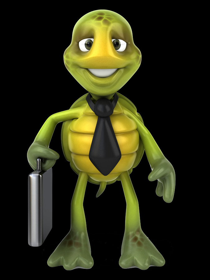 ISO Management Systems Implementation by BonTrack Solutions