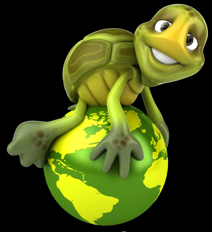 ISO Management Systems Implementation by BonTrack Solutions - ISO 14001 Environmental Management Systems